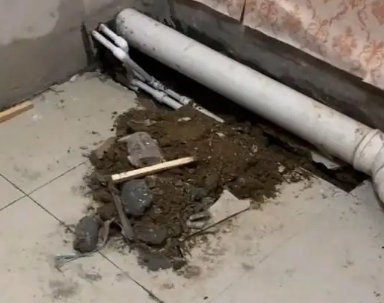 金城江卫生间漏水检测哪家好