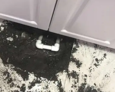 金城江查漏水哪家好